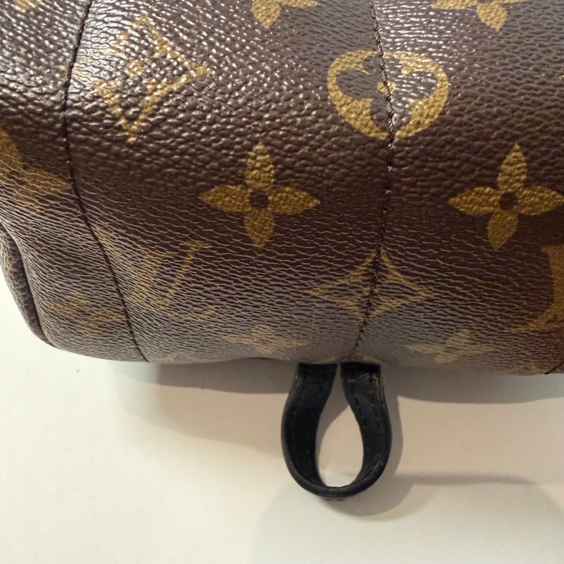 루이비통 모노그램 팜 스프링스 미니 백팩 상품이미지9