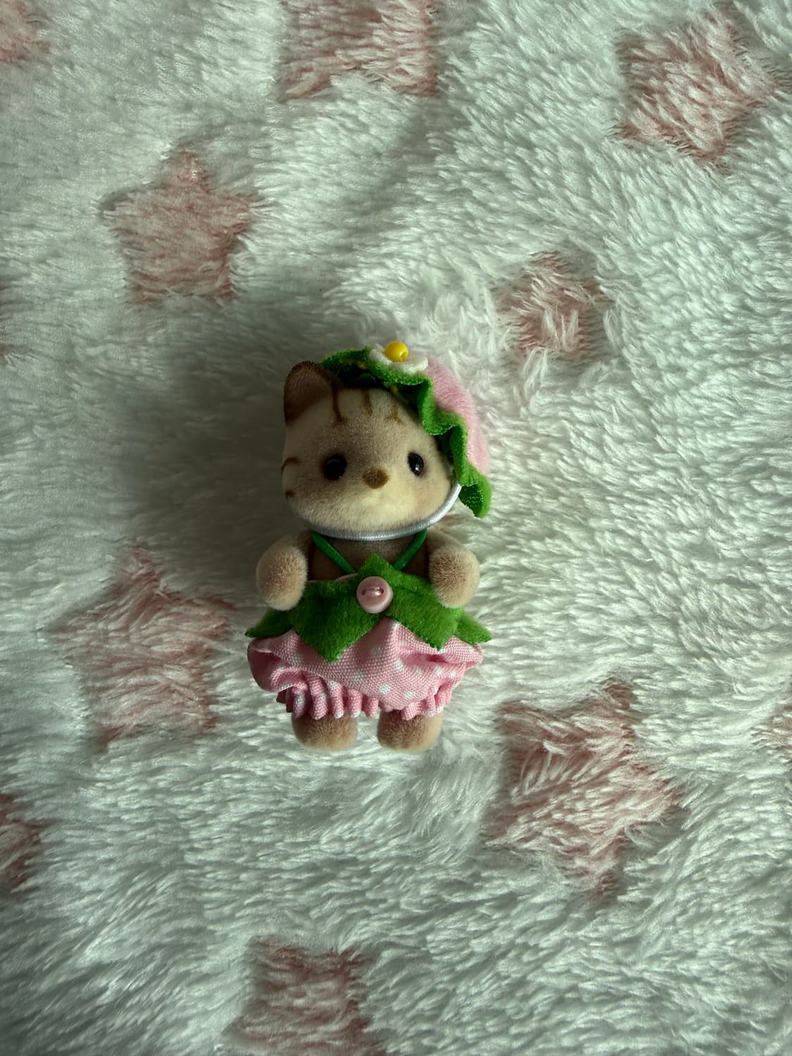 실바니안 딸기 고양이 상품이미지1