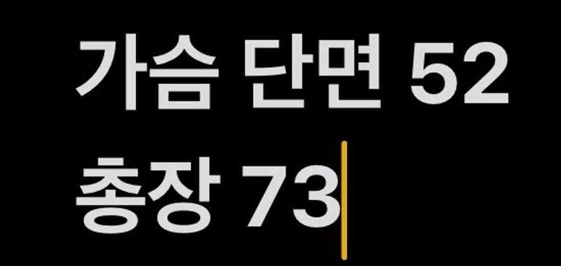 [정품/95] LG트윈스 원정 야구유니폼 그레이 b15 상품이미지6
