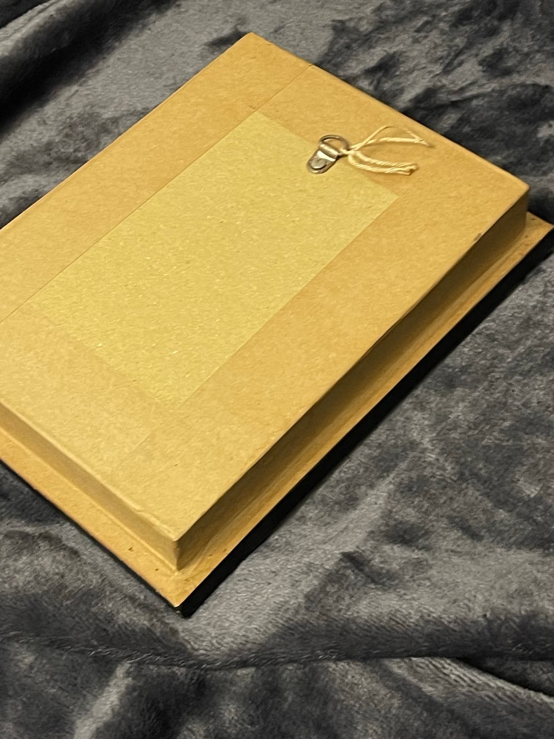 리얼 나비 박제 액자 인테리어소품 상품이미지3