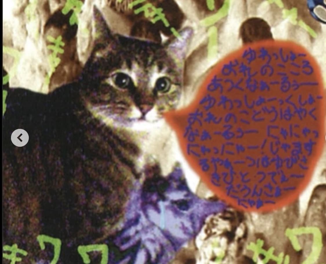 00‘s Hysteric Glamour “MEOW! Cat stripe” 상품이미지3