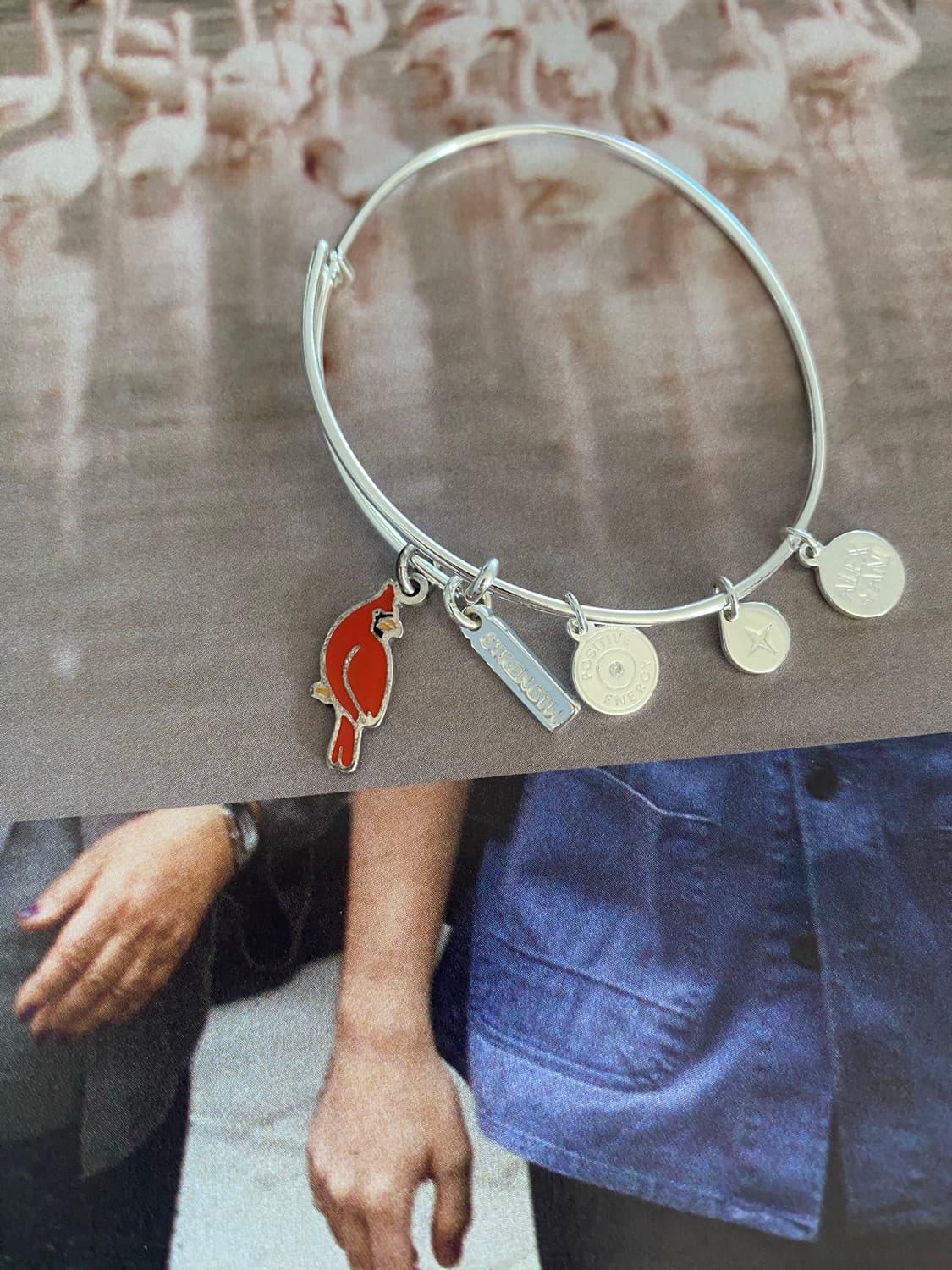 Alex and Ani 카디널 참 뱅글 (실버톤) 팔찌 상품이미지2