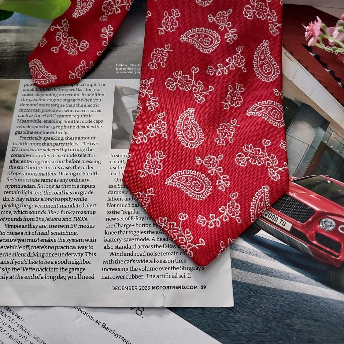 알테아 실크 레드 페이즐리 자카드 넥타이 9.6cm A+등급 K1438
 상품이미지5