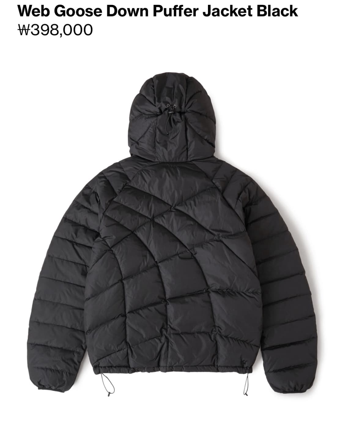 25FW Web Goose Down Puffer Black 상품이미지2