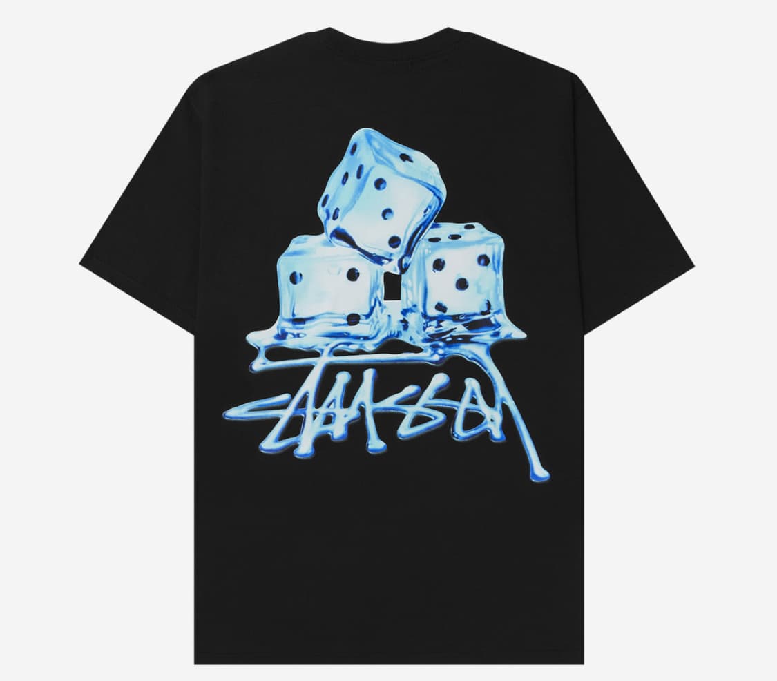 스투시 melted T-shirts 상품이미지1