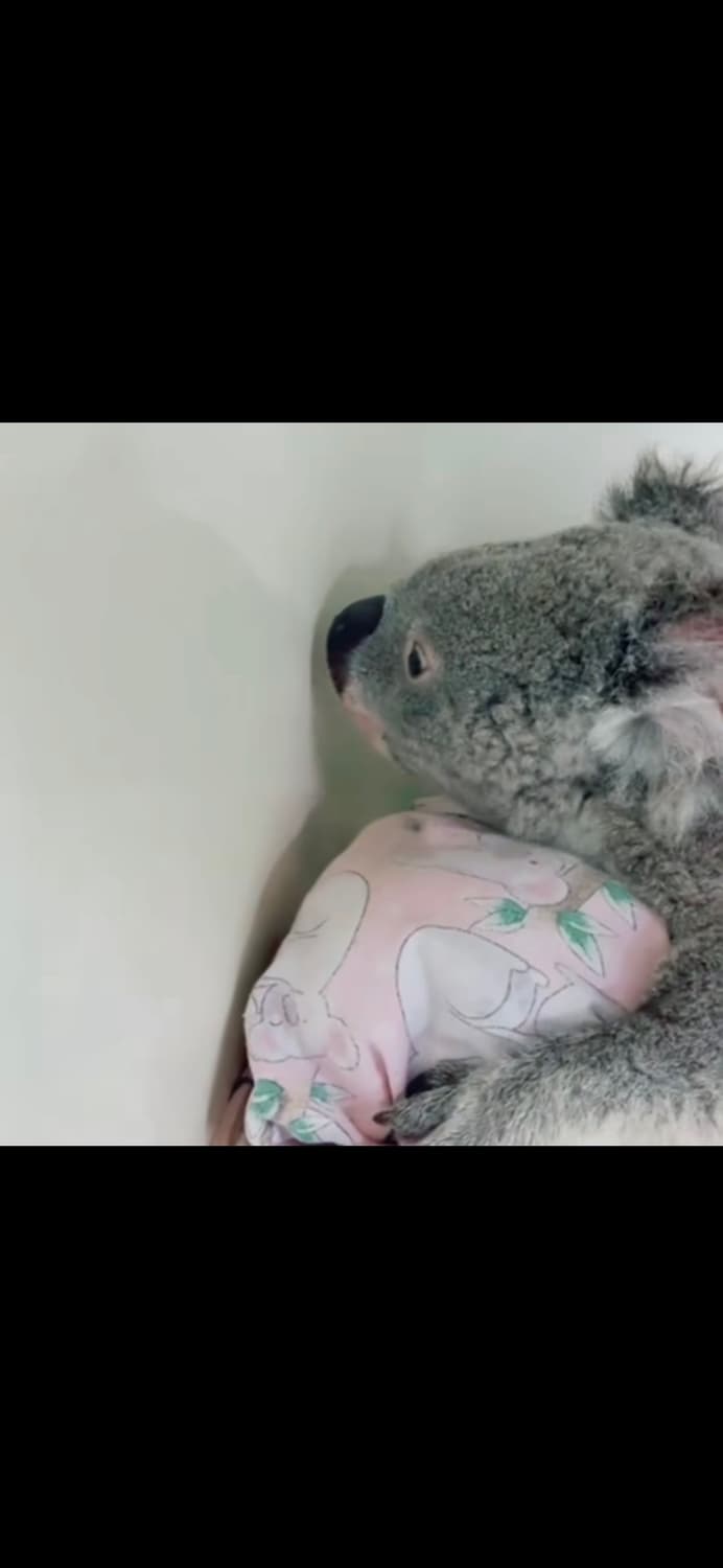 개인결제창_3 상품이미지1