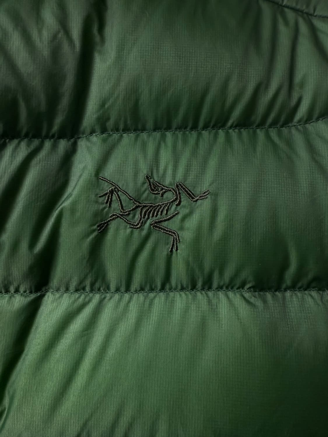 아크테릭스 세륨 패딩 XL 에덴 상품이미지4