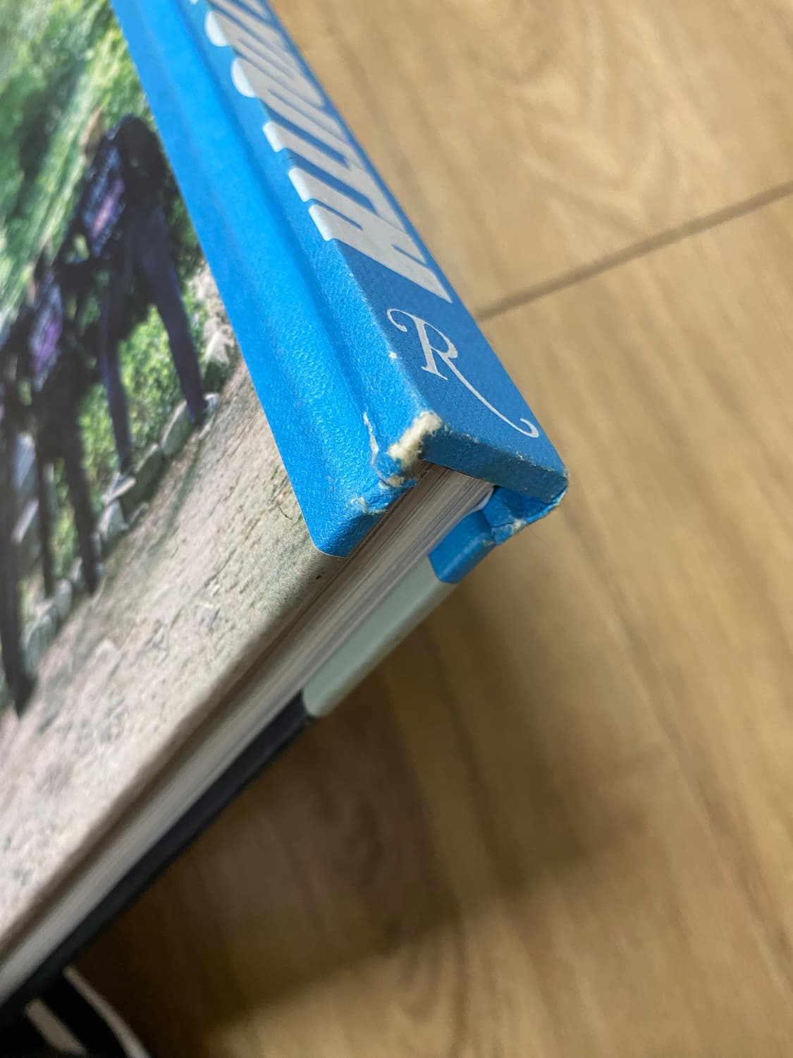 사진집 Rebel Youth 상품이미지10