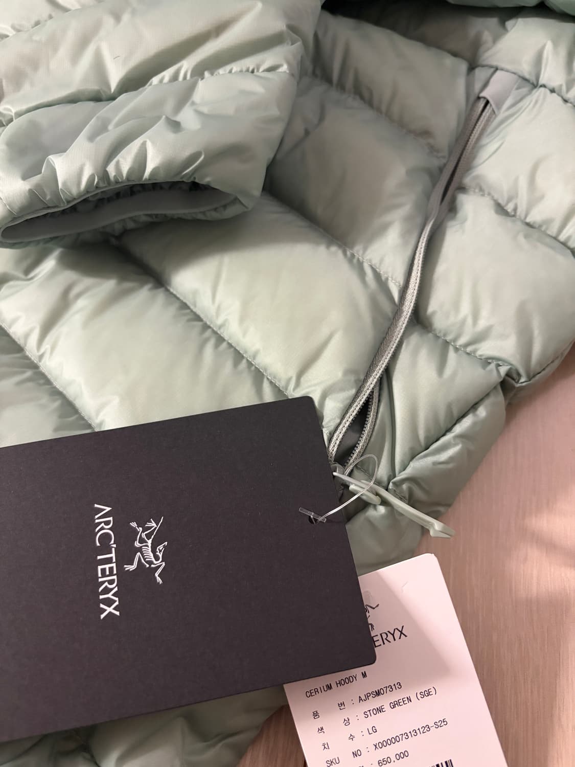 아크테릭스 세륨후디 스톤그린 L 상품이미지2