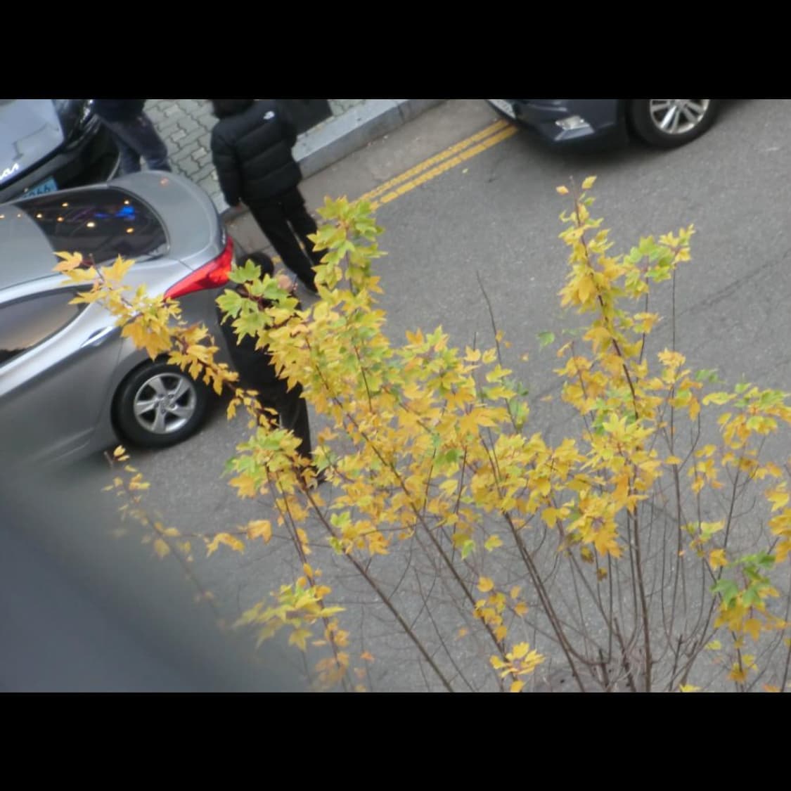 카시오 EX-H15   츄 디카 빈티지 디카 디지털카메라 상품이미지9