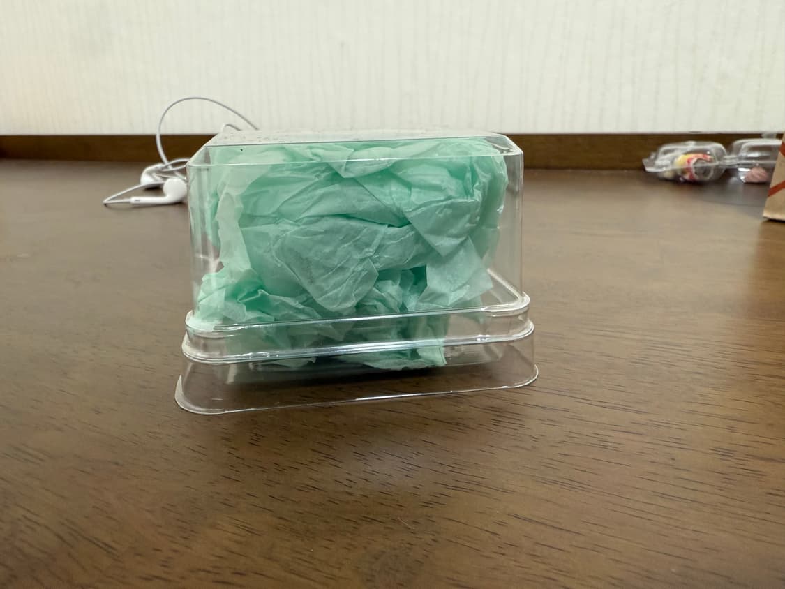 Espace ladyburg keyring 이스페이스 무당벌레 키링 상품이미지3