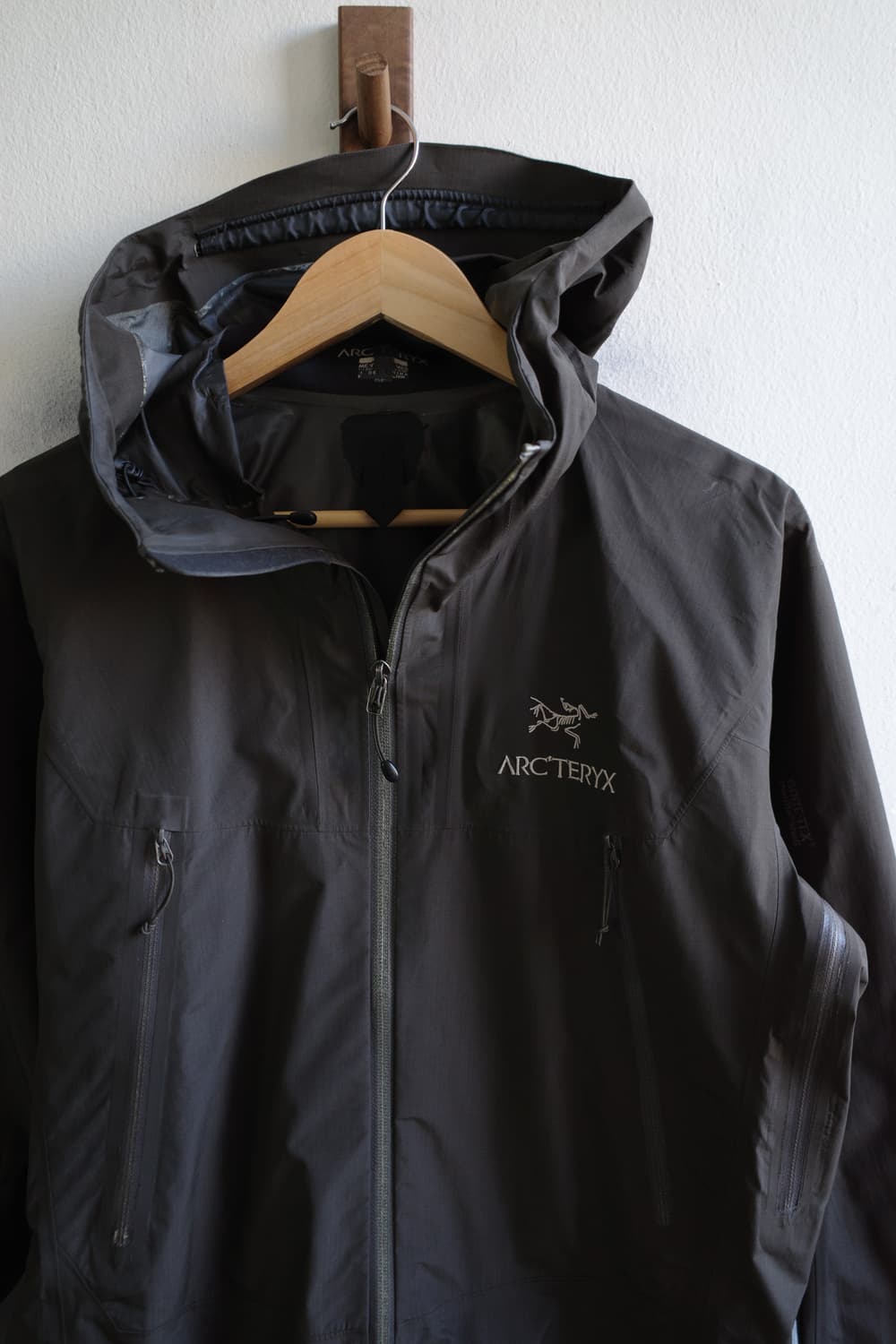 아크테릭스 알파 sl 자켓 상품이미지2