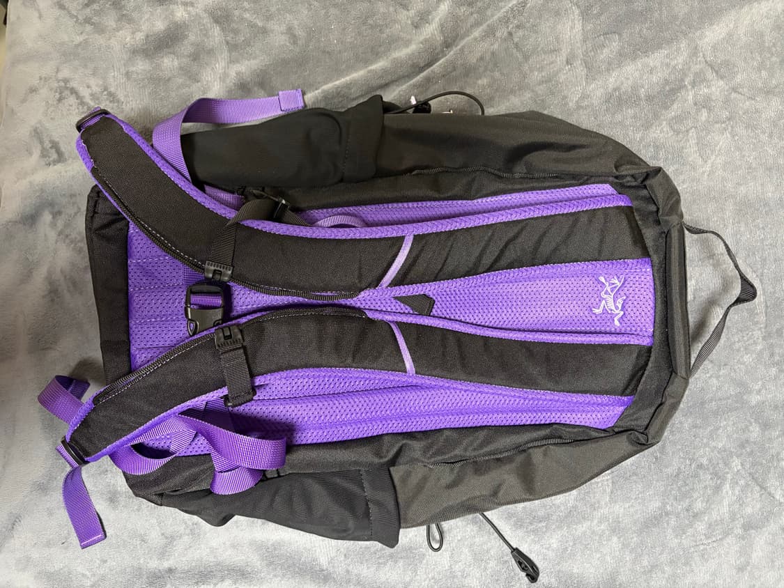 아크테릭스 멘티스 블랙 퍼플컬러 상품이미지2