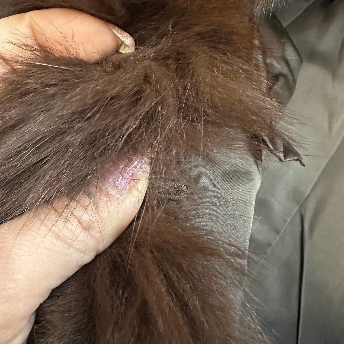 브라운 컬러믹스 사가폭스 퍼자켓L 상품이미지7