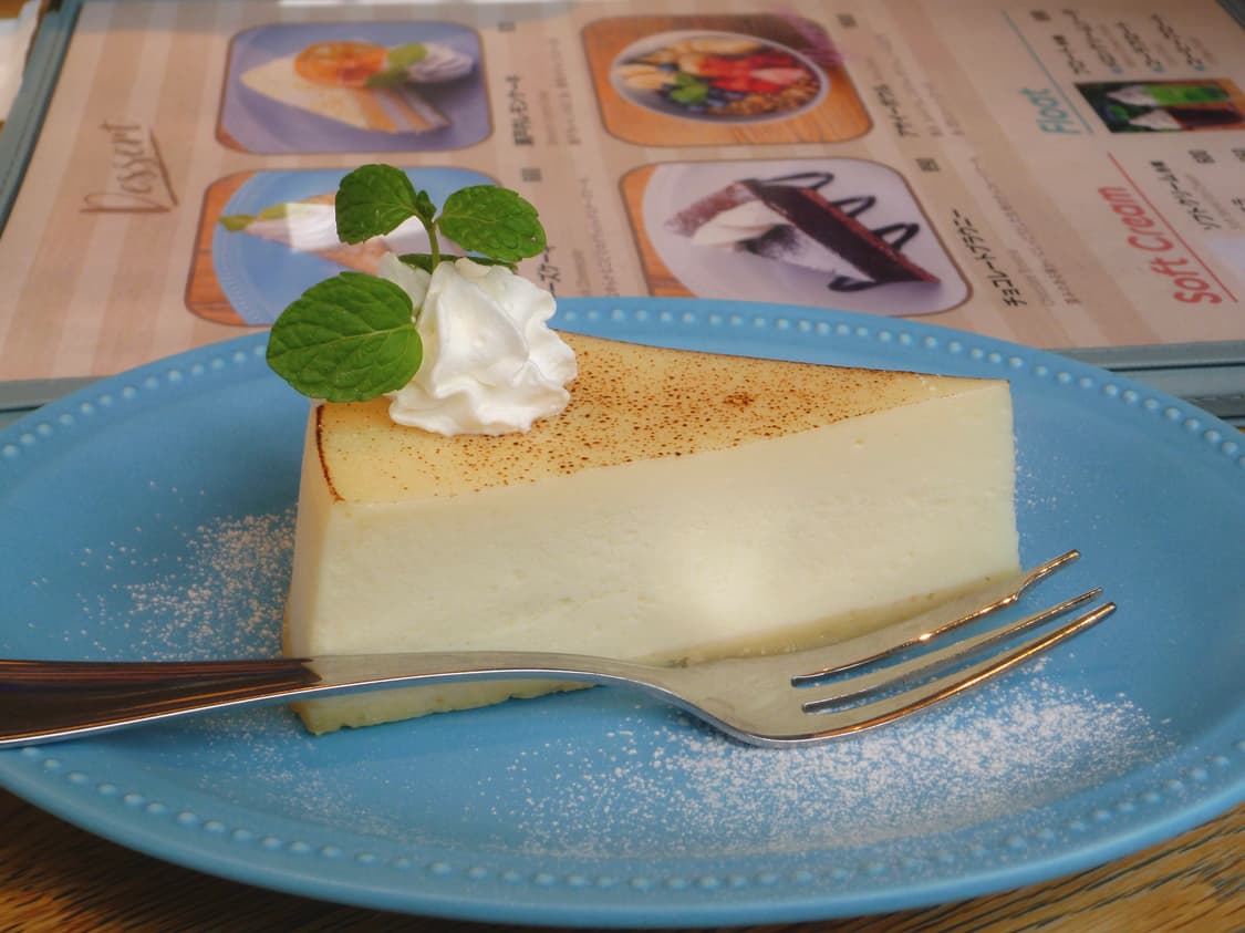 파나소닉 루믹스 DMC-FX66 파스텔 블루(빈티지디카) 작례포함 상품이미지6