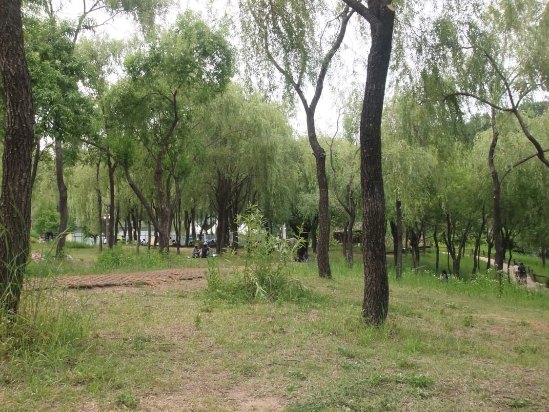 (작례o) 빈티지카메라 Fujiflim Finepix AX300 후지필름 상품이미지4