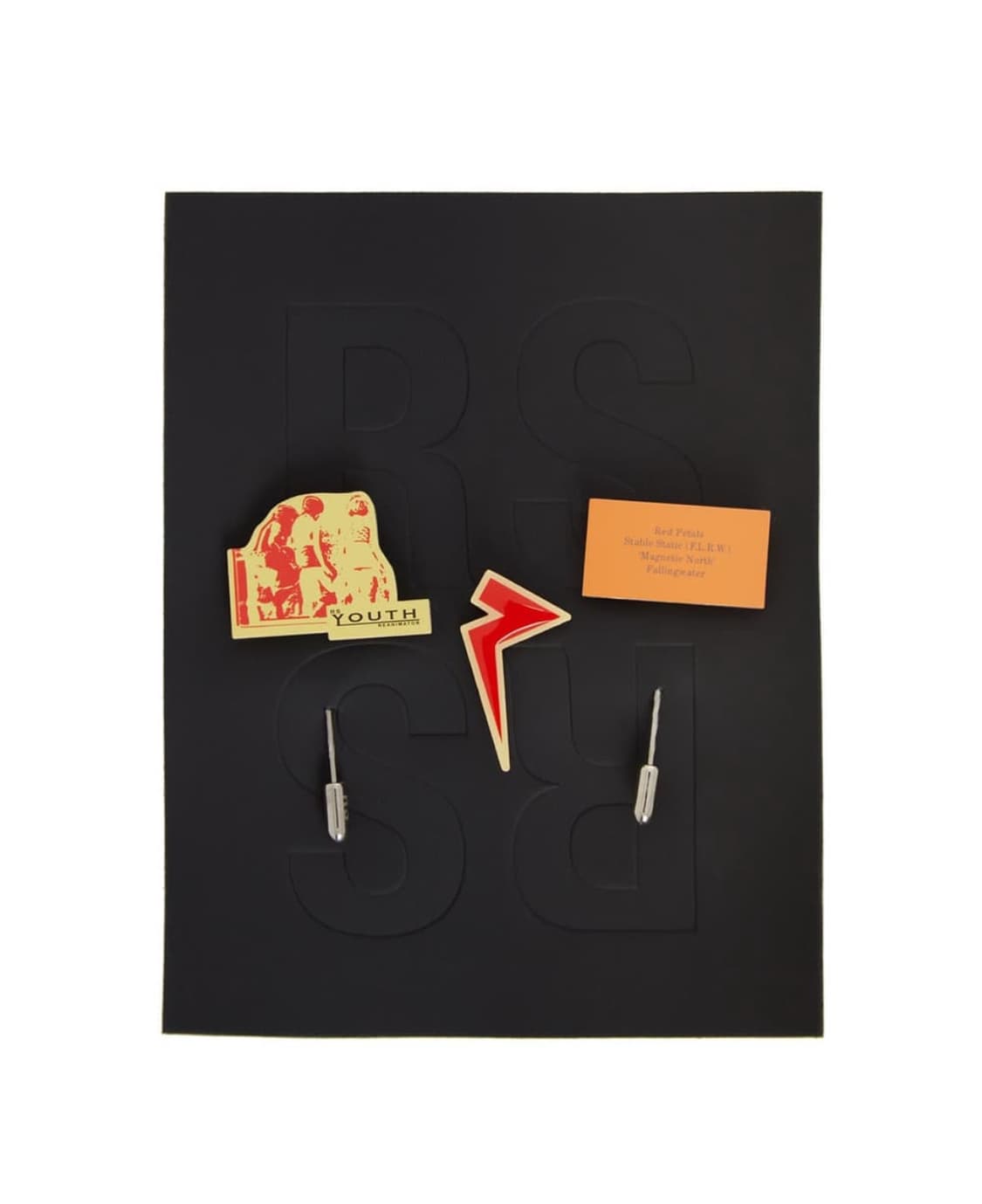[구매글] Raf simons pin 구매합니다 상품이미지1
