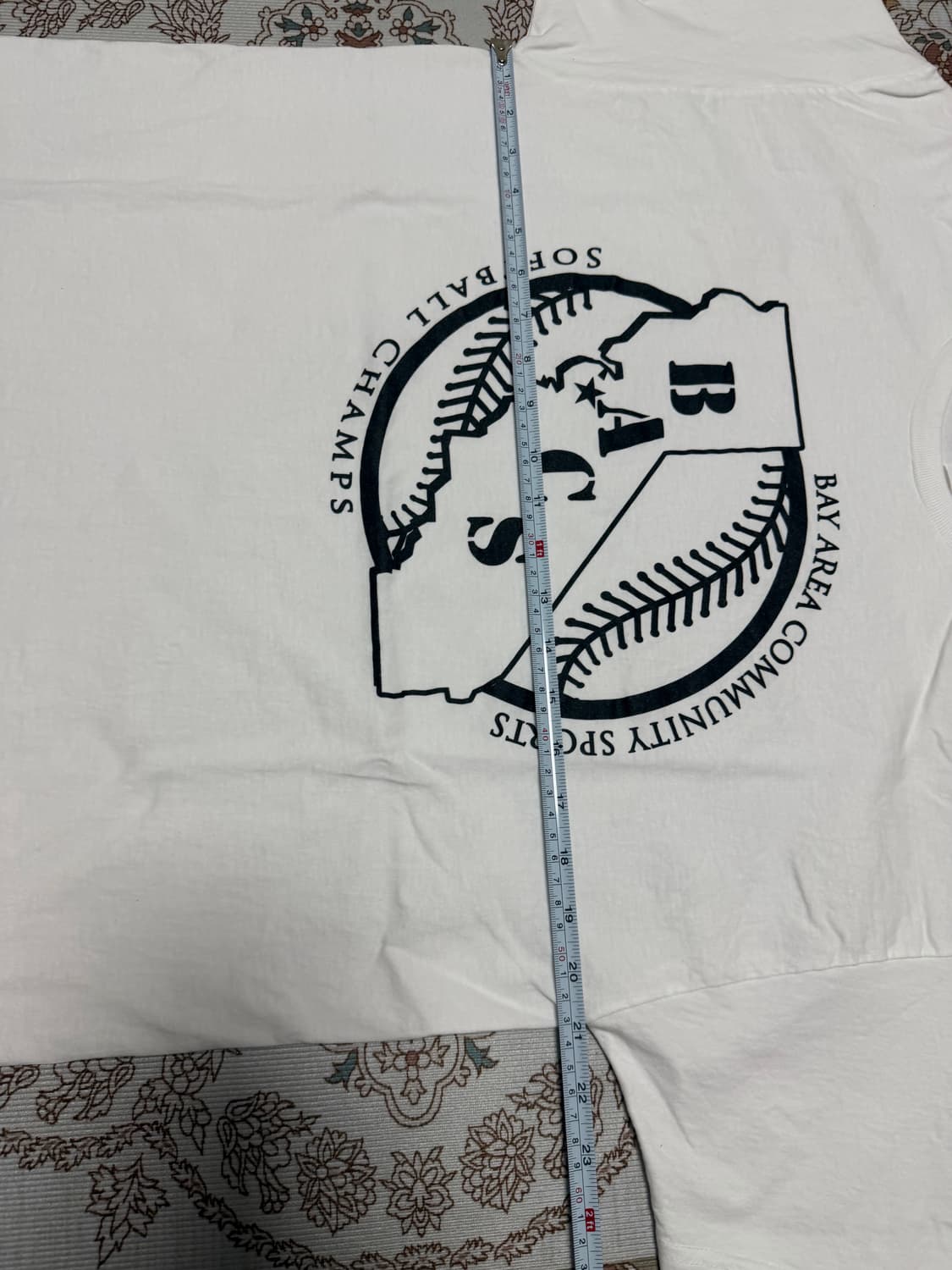 Hanes 그래픽 반팔티 L 상품이미지3