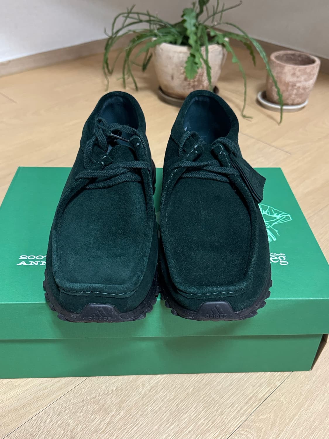 [290] 아디다스 클락스 키스 로니피그 왈라비 울트라부스트 스카라브 상품이미지3