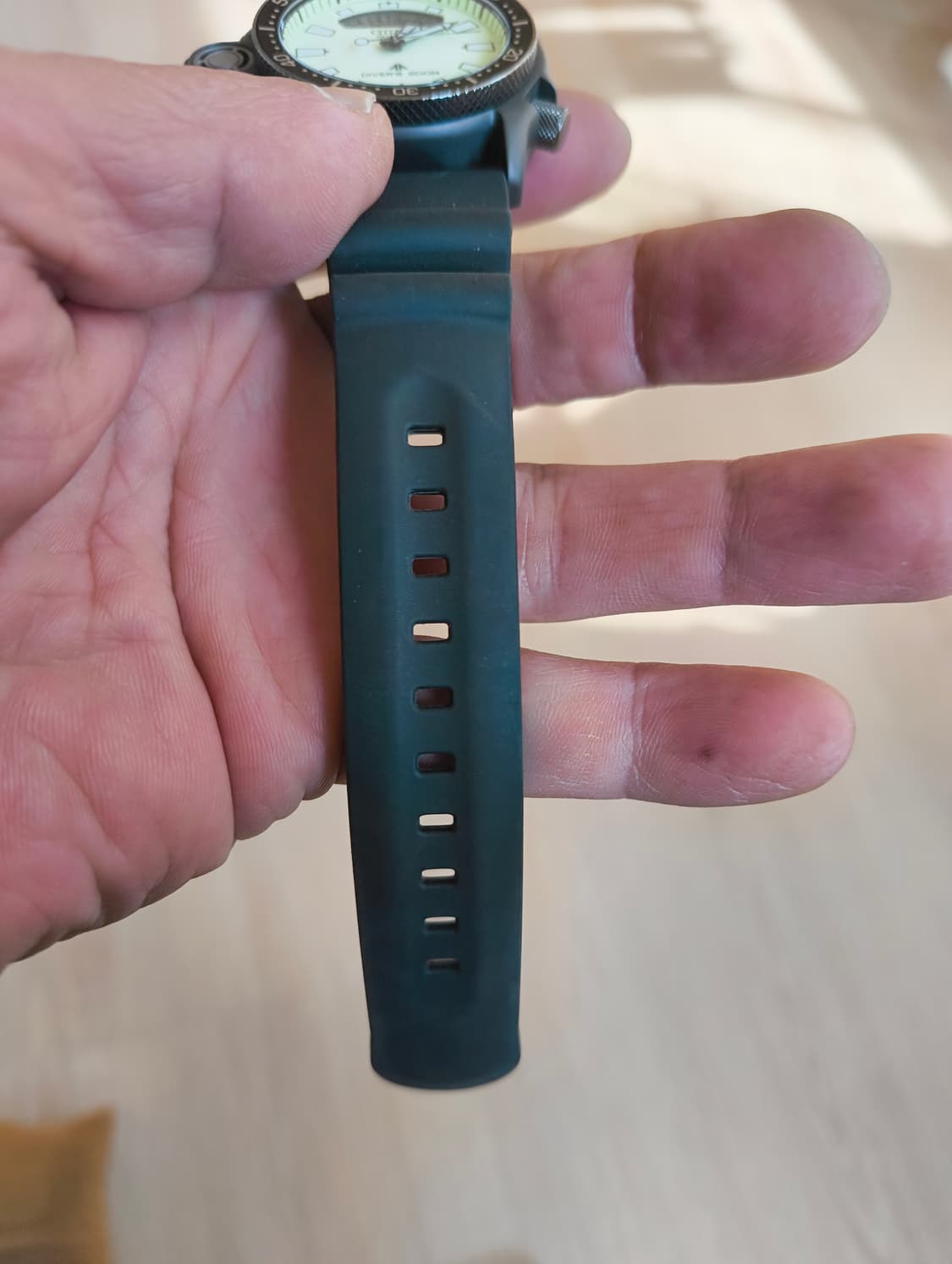 씨티즌 프로마스타 다이버  jp2007-17w 상품이미지5