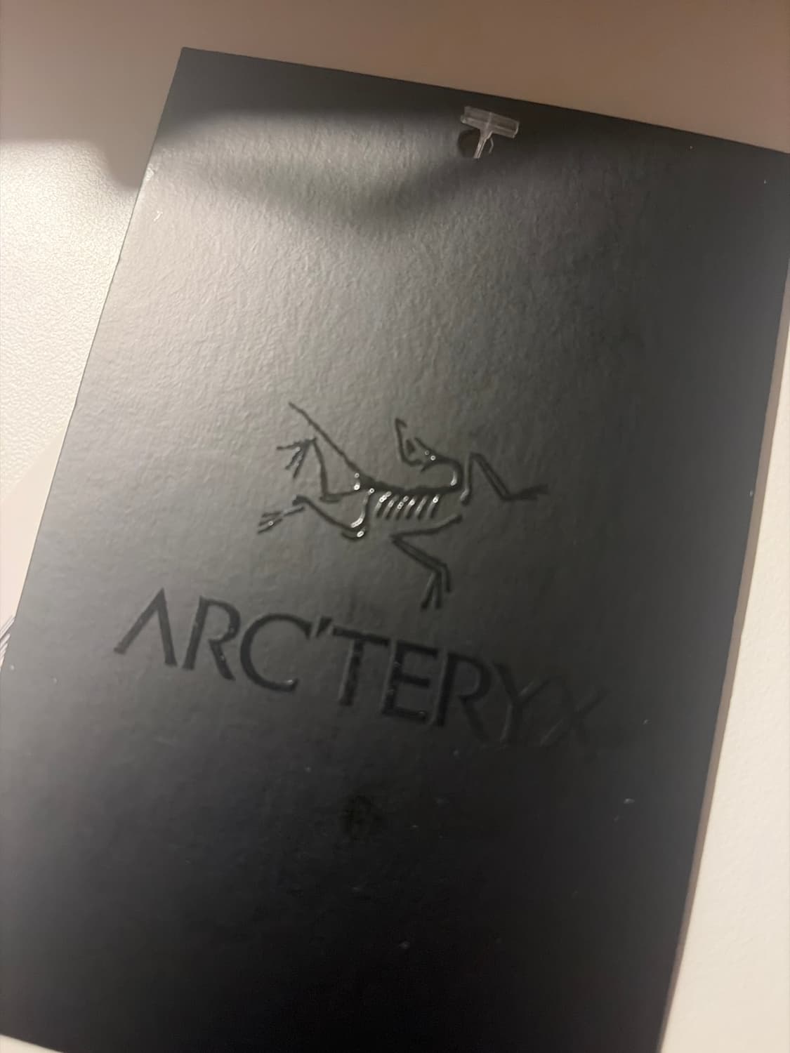 아크테릭스 아톰 후디 lt L 상품이미지3