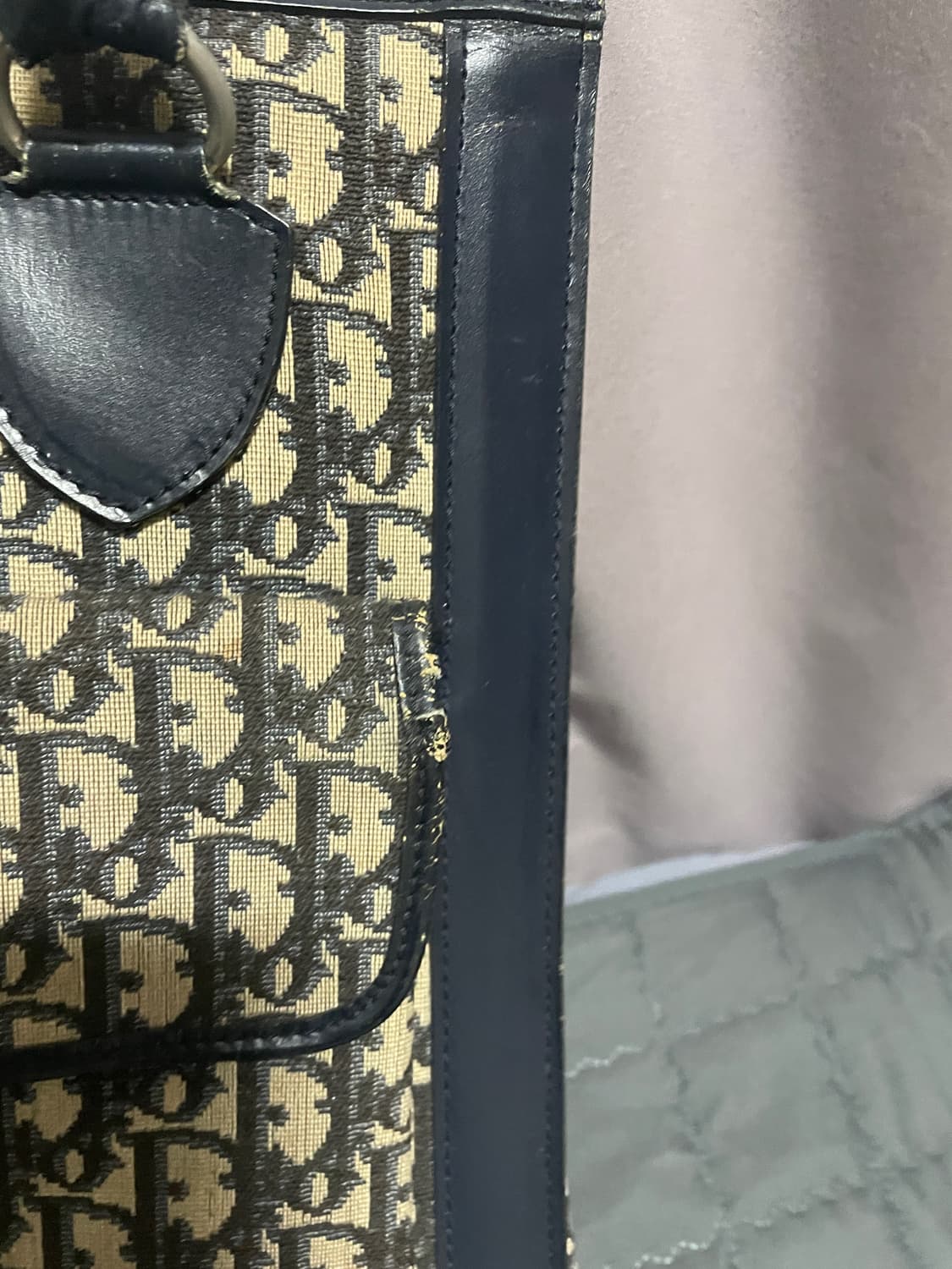디올 오블리크 토트백 상품이미지4