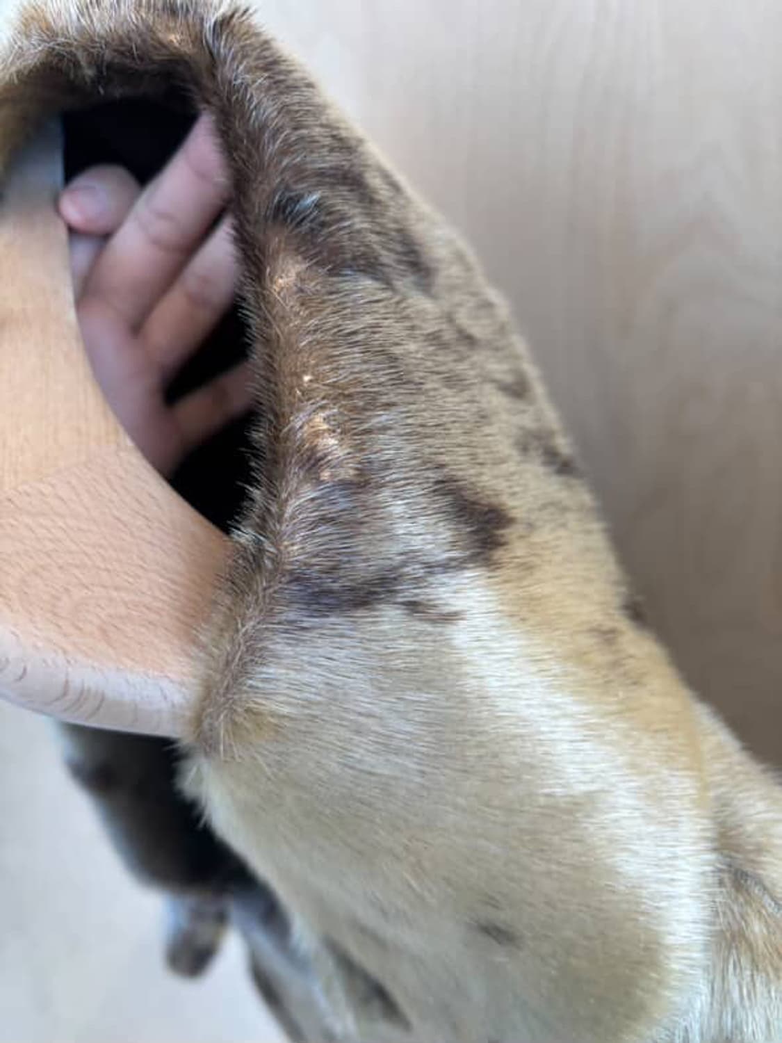 리얼물개퍼자켓 하프코트 상품이미지3