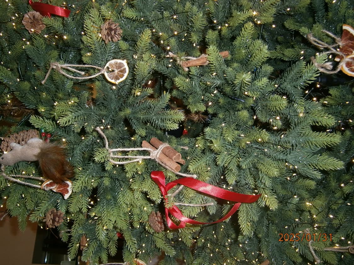 올림푸스 VG-140 핑크(작례O) 상품이미지6