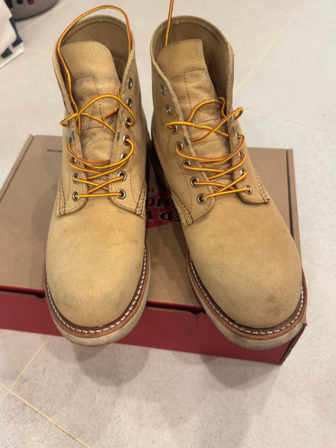 레드윙 8167 8D 라운드토 러프아웃 상품이미지1