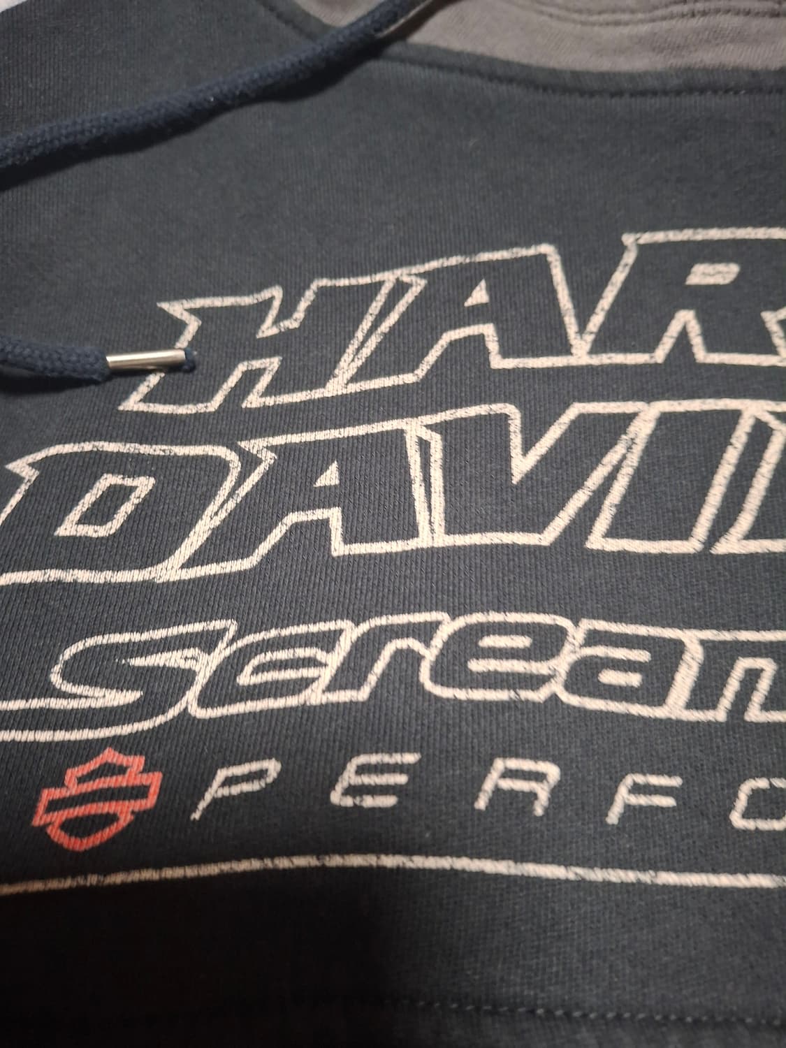 할리데이비슨 스크리밍이글 레터링 후드 상품이미지3