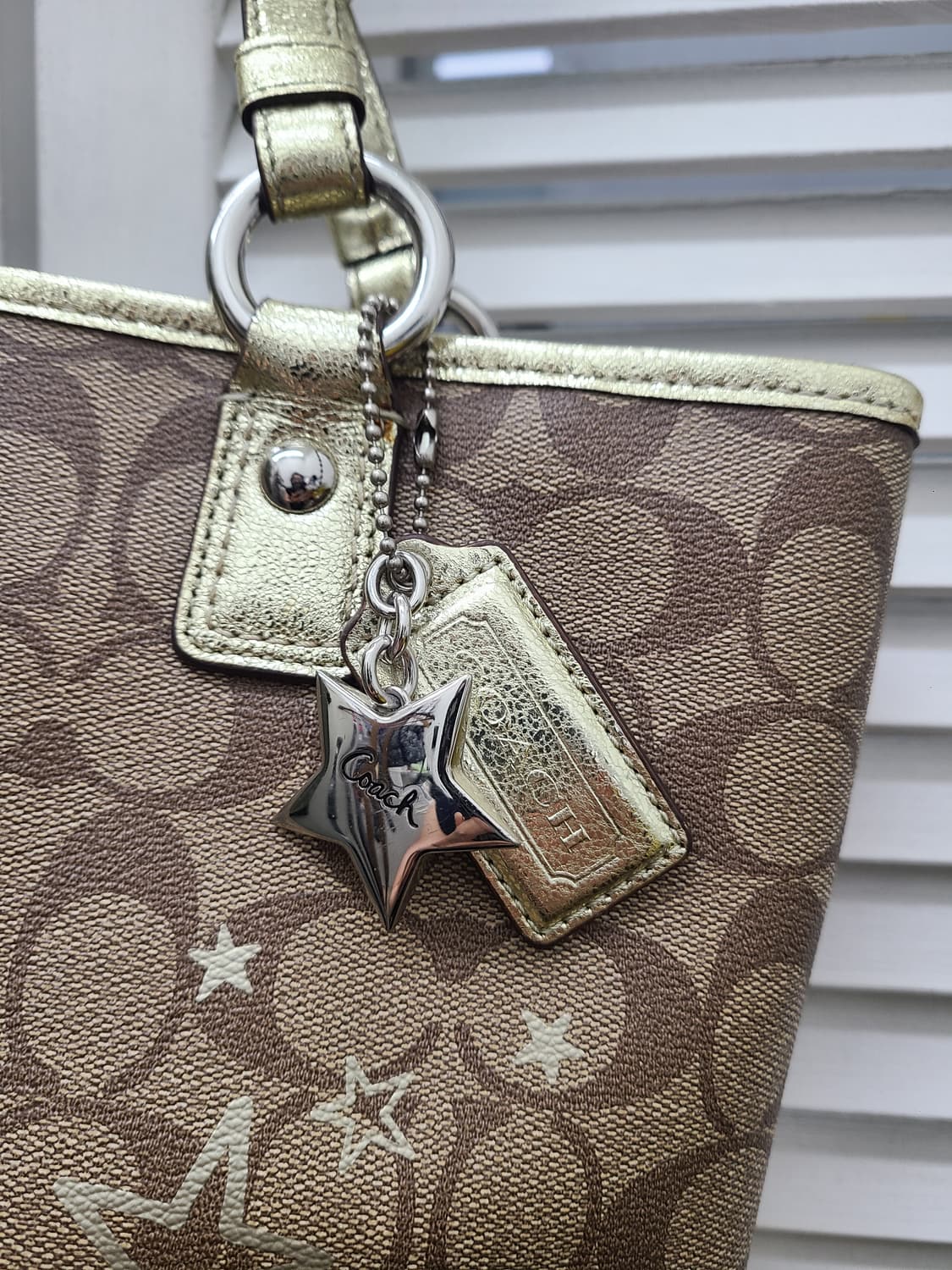 코치 모노그램 스타 토트백 상품이미지2