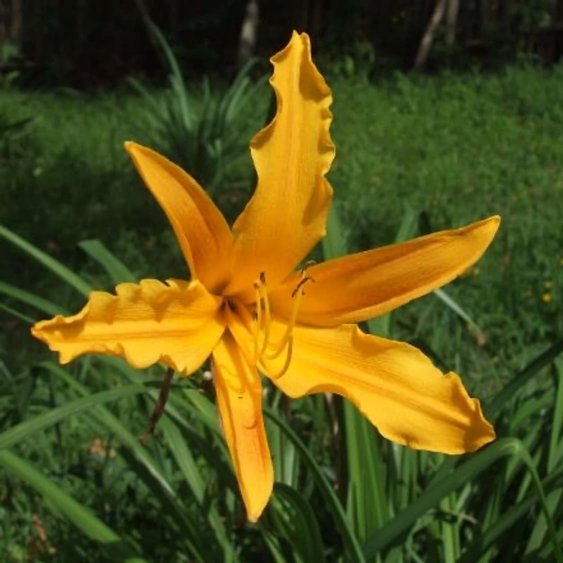 [미니게임&필름색감!] 후지필름 FinePix V10 디지털카메라 상품이미지8