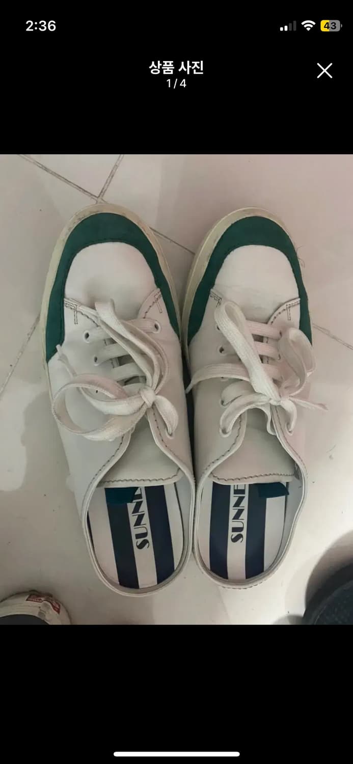 써네이 사보 그린(42) 상품이미지1