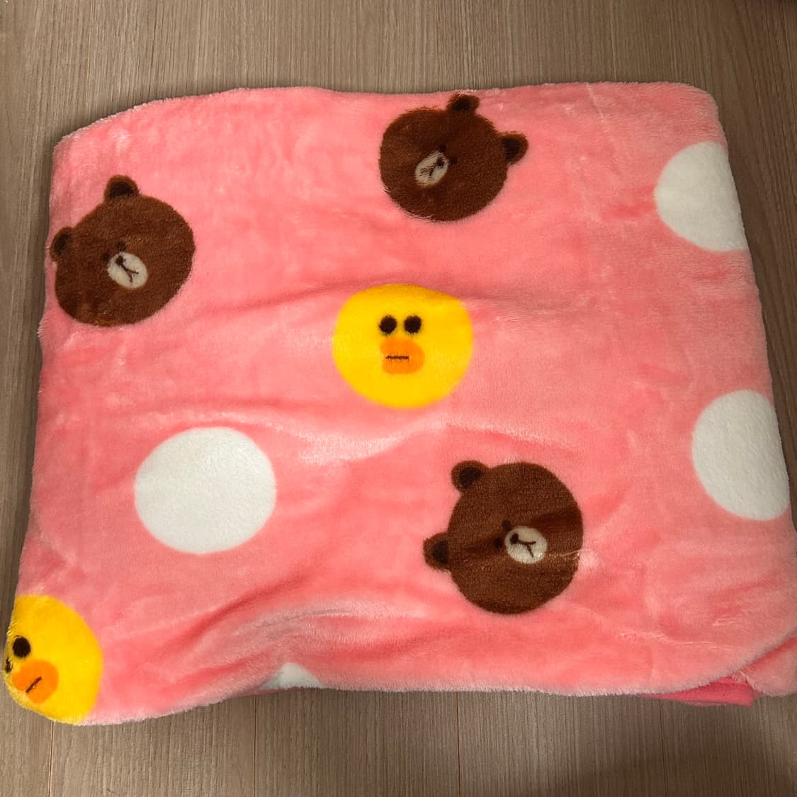 라인프렌즈 샐리 쿠션 담요 크리스마스 한정판 상품이미지2