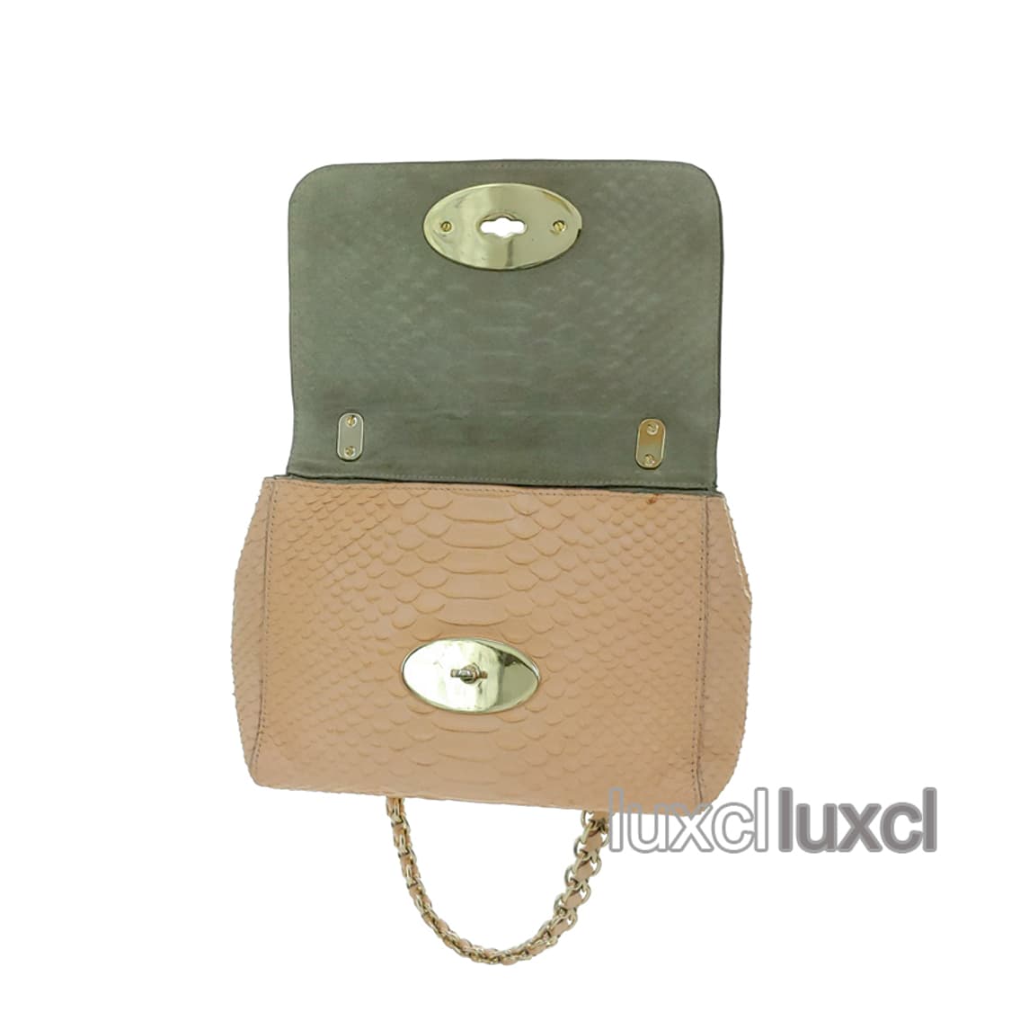 [정품] 멀버리 세실리 파이톤 스킨 사첼 숄더백 상품이미지6