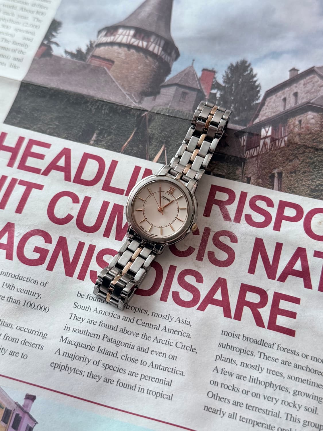 세이코 Seiko 콤비 레이디스 상품이미지2