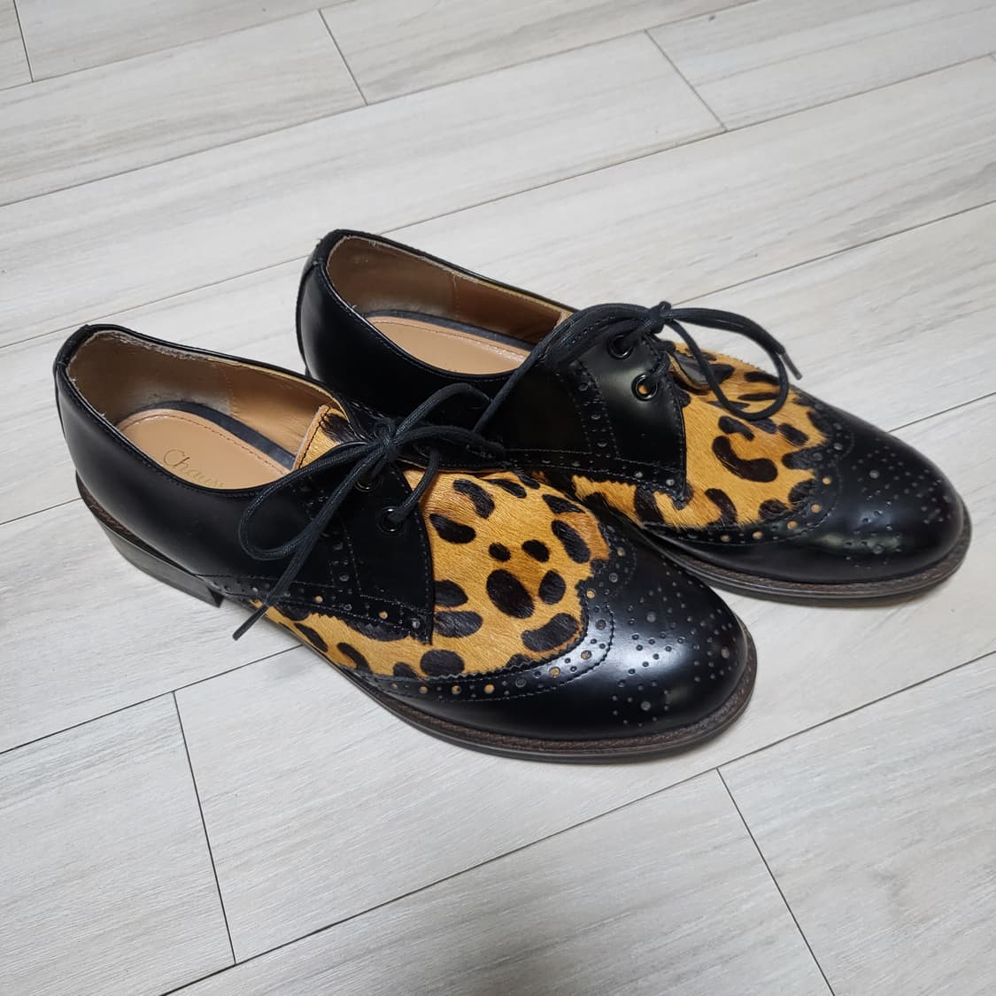 (240) 쇼쉬르라팡 송치 윙팁 레오파드 구드 상품이미지3