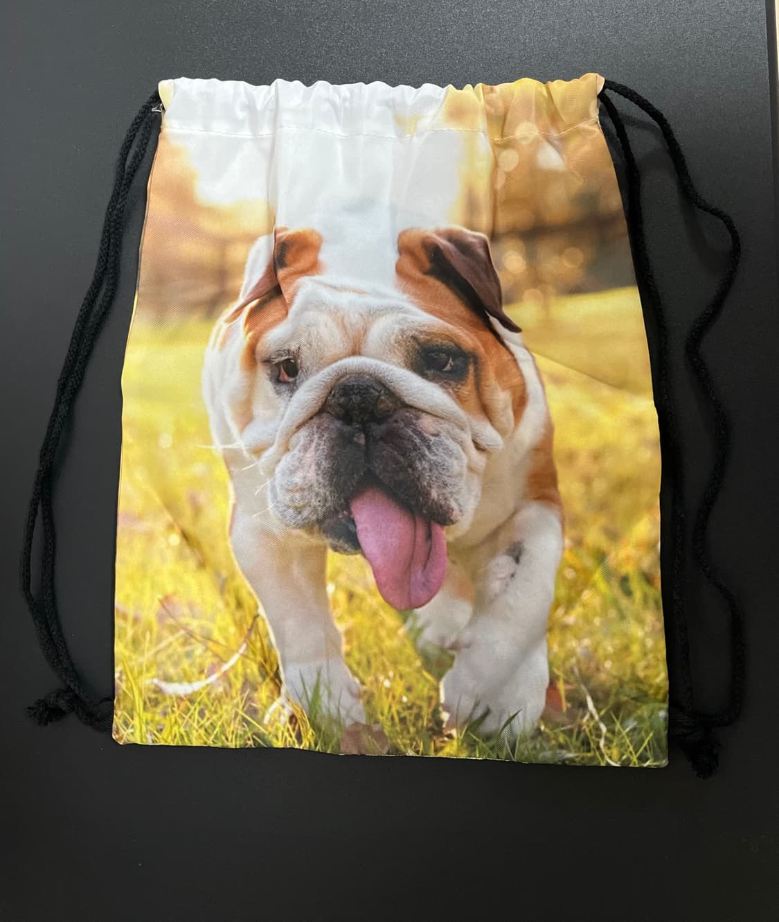 테무 강아지 스트링백 상품이미지1