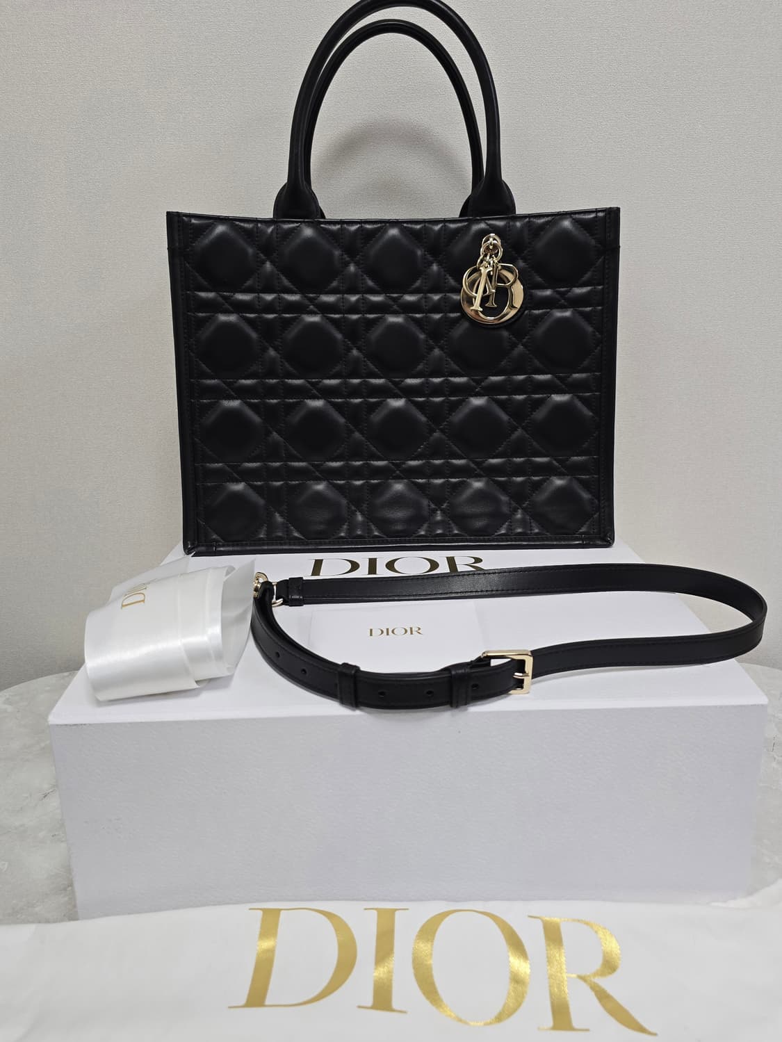 디올 까나쥬 북토트 레더 미디움 판매 상품이미지1