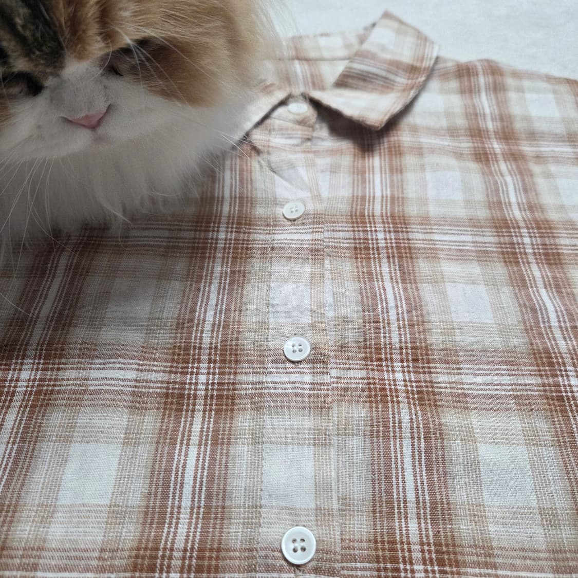 베이지 체크 셔츠 상품이미지2