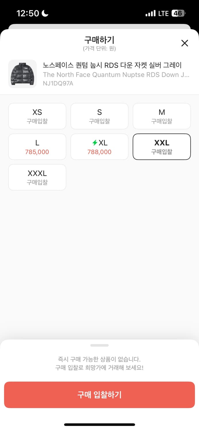 노스페이스 퀸텀 눕시 실버 그레이 판매합니다. 상품이미지3