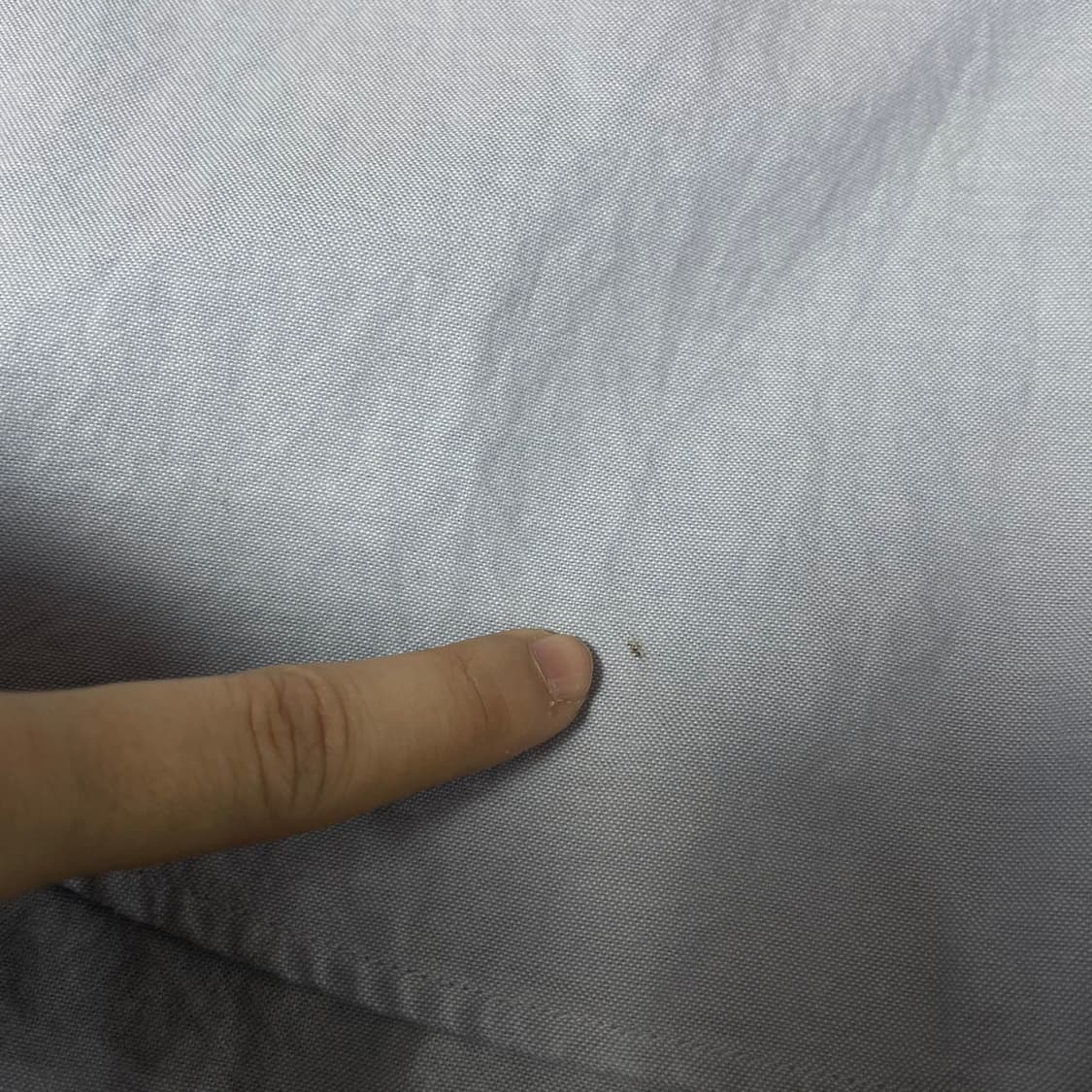 헤지스 미니자수로고 스카이블루 코튼 셔츠 105 상품이미지7