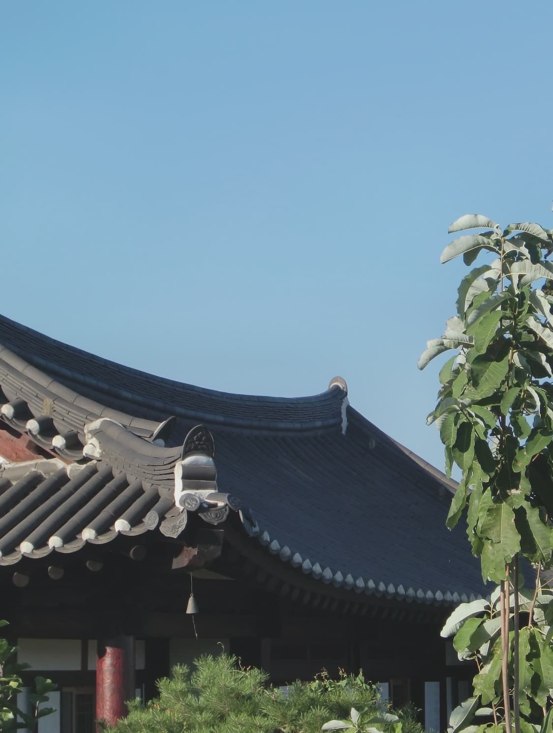 카시오 엑슬림 z300 작례O 상품이미지9