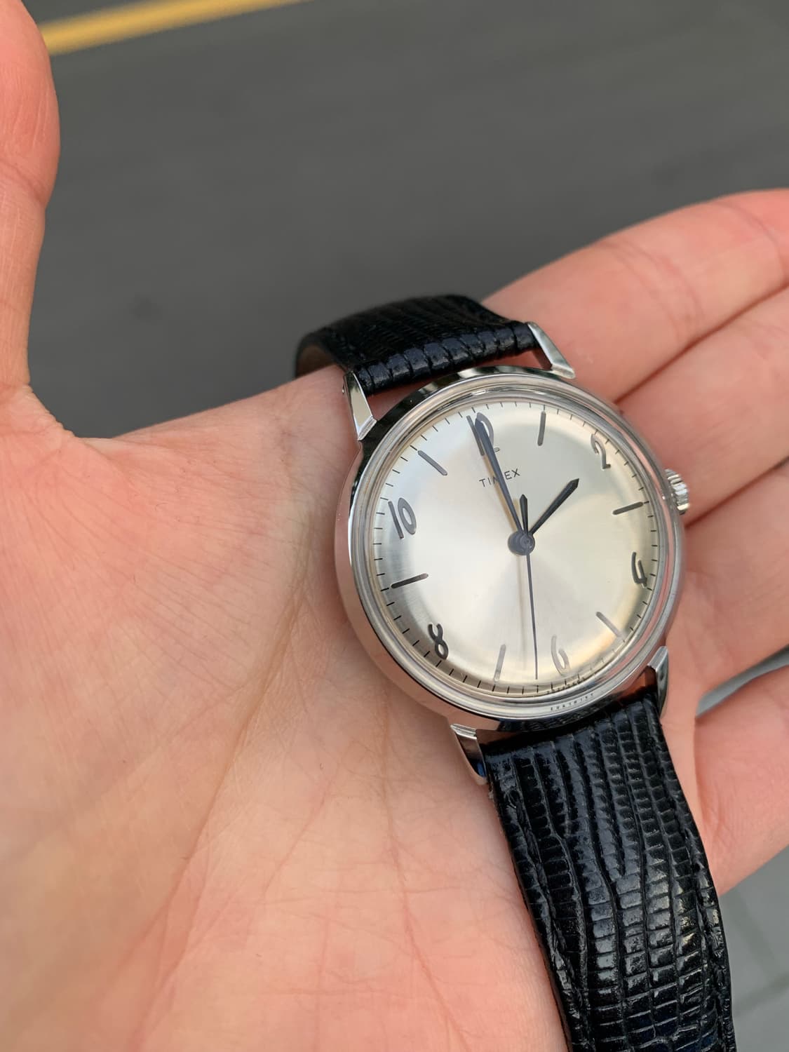 타이맥스 타이멕스 멀린 말린 34 수동 리이슈 상품이미지1