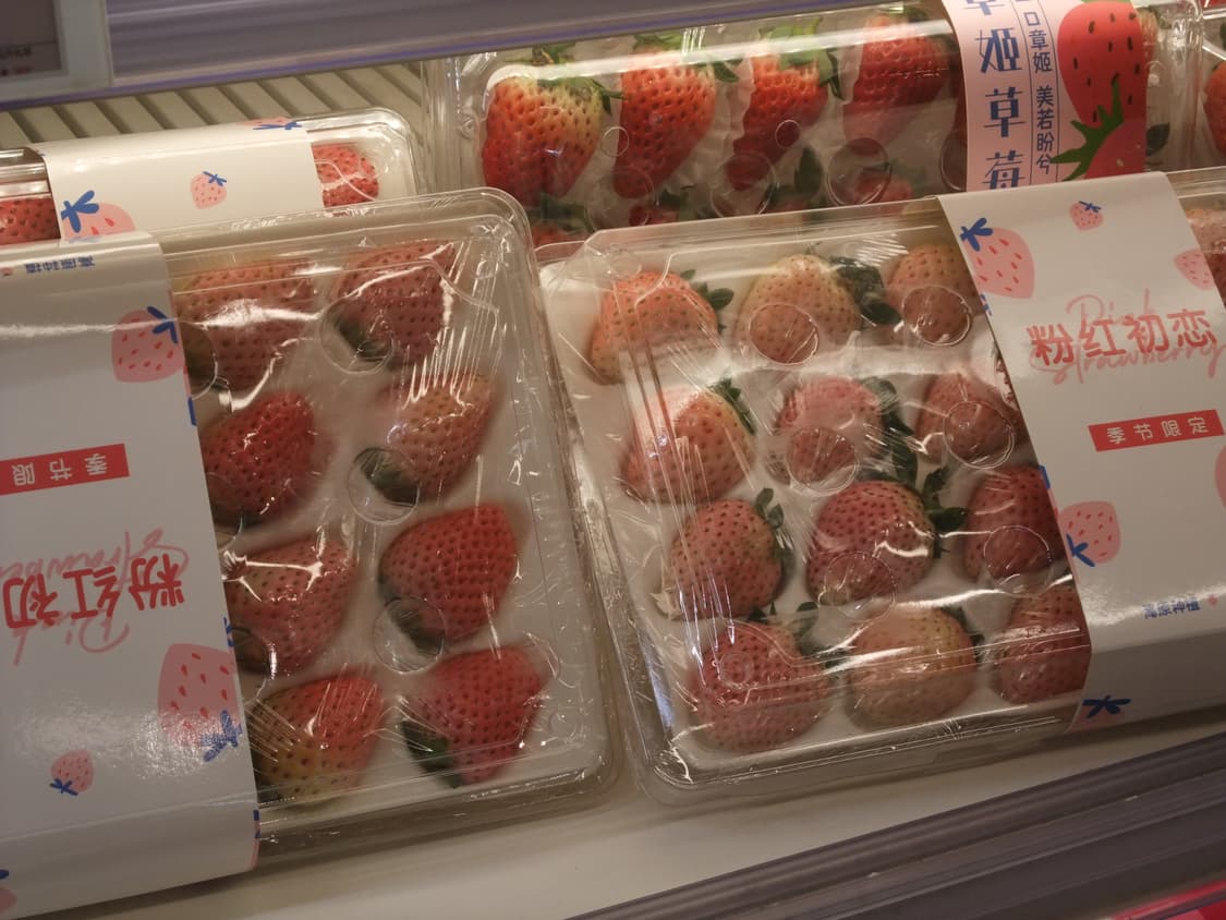 (작례O) 후지필름 파인픽스 F100fd 상품이미지9