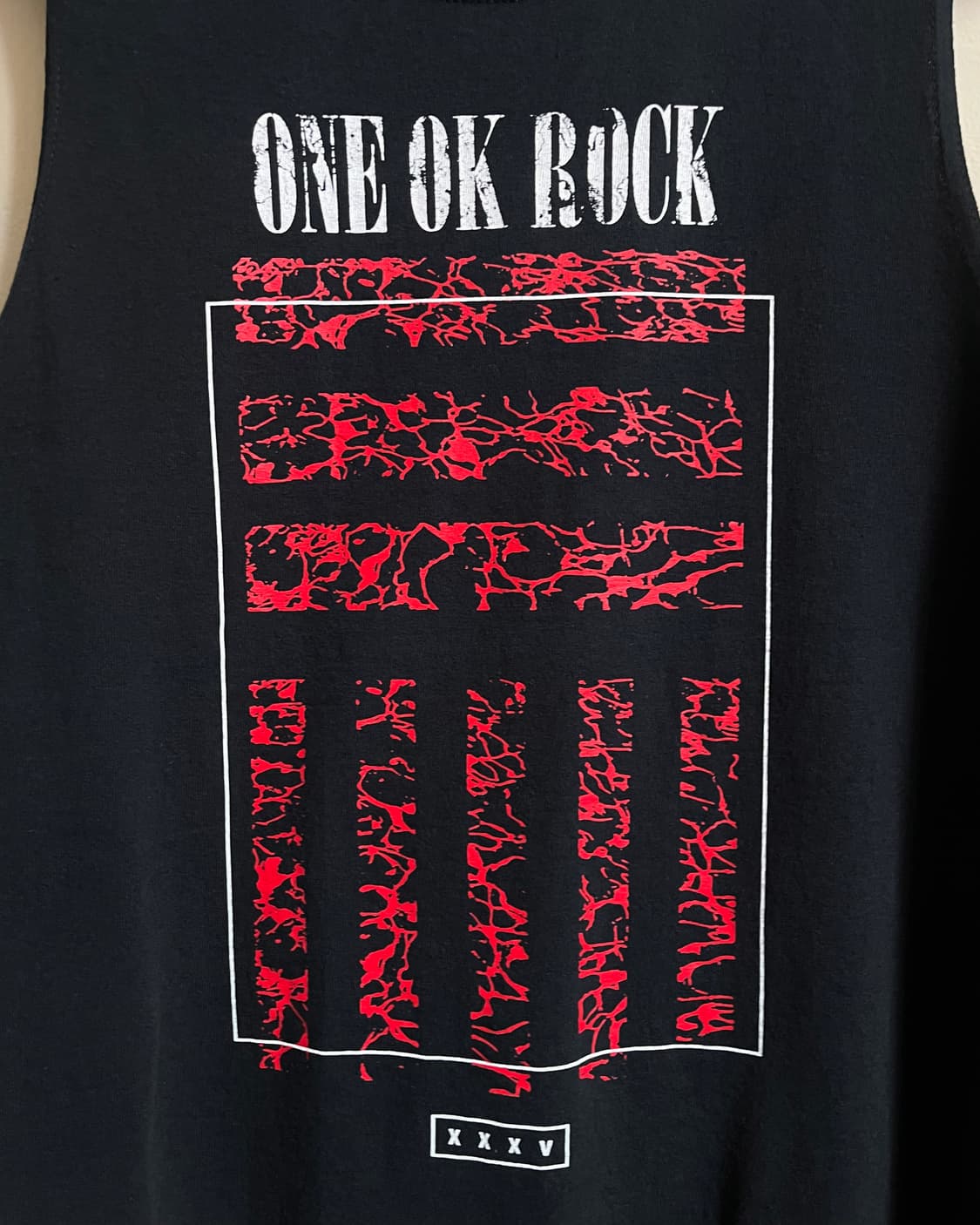 ONE OK ROCK Vintage Sleeveless 상품이미지5