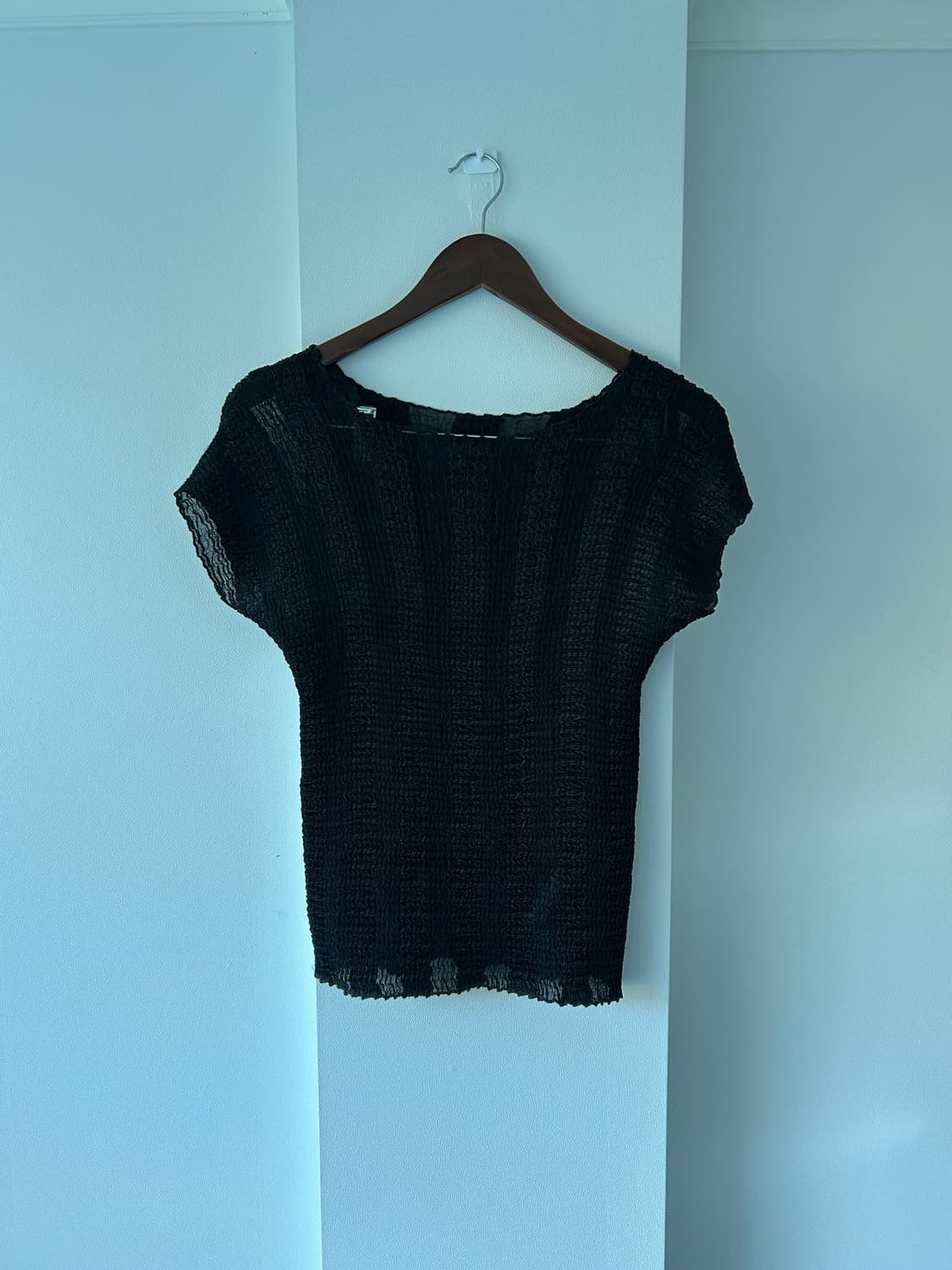 Sheer Pleats Blouse / 빈티지 플리츠 티셔츠 상품이미지6