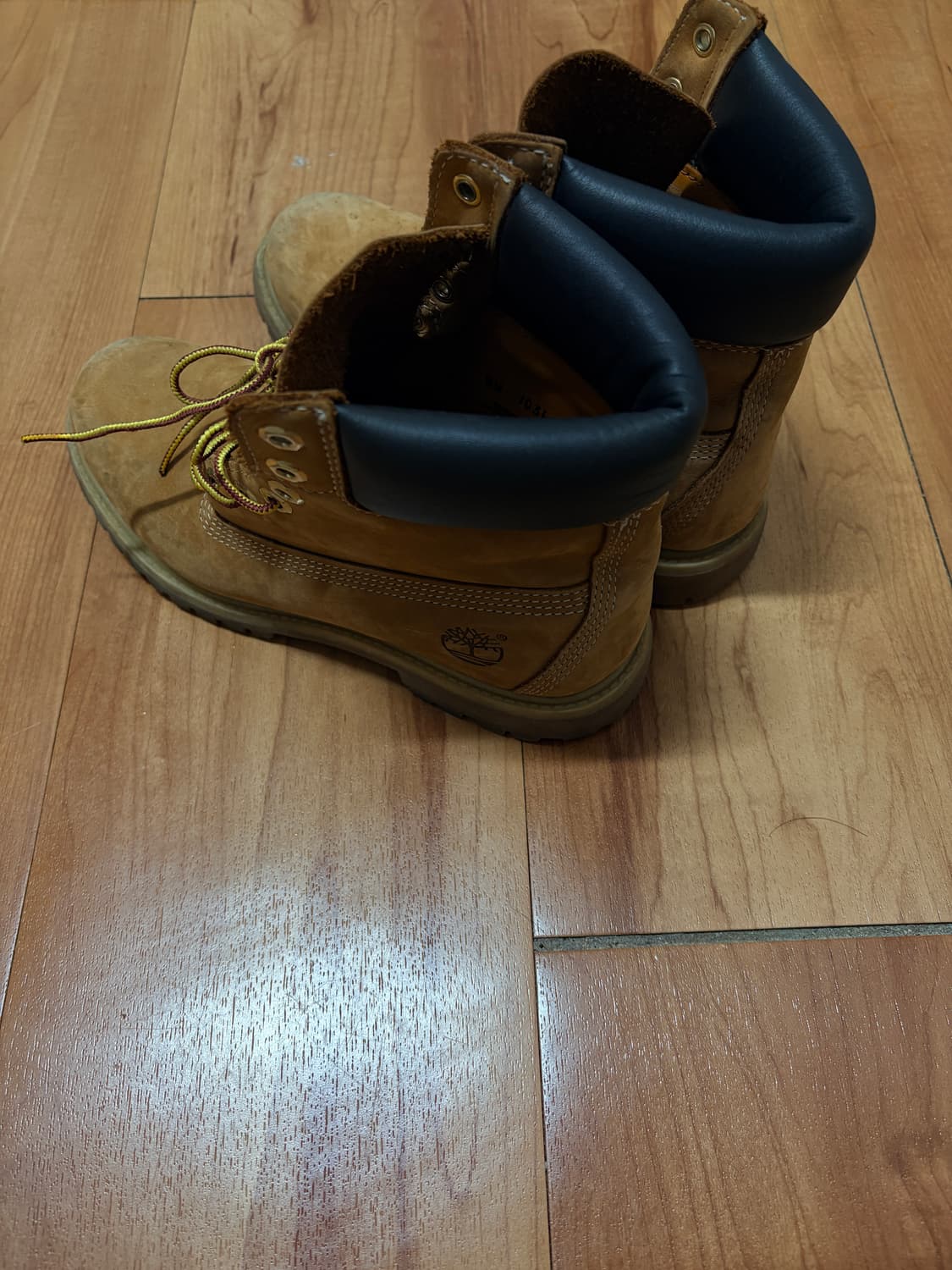 [8W] Timberland 팀버랜드 6인치 상품이미지3
