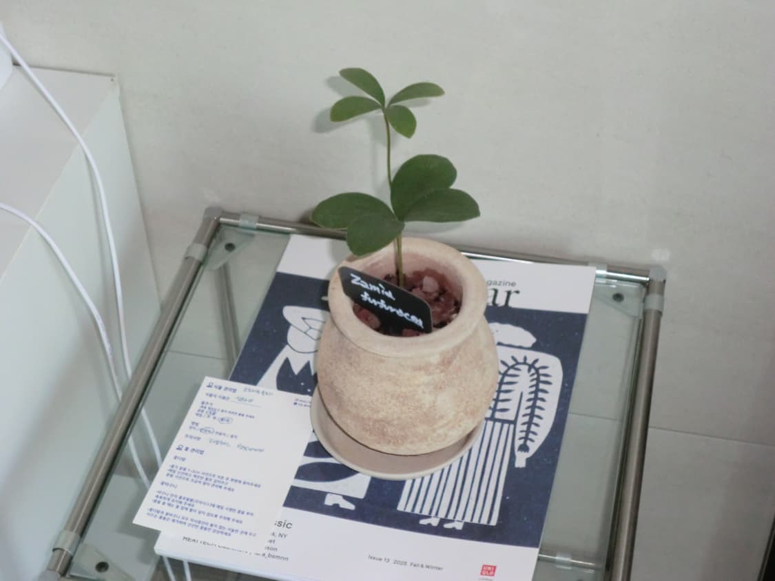 카시오 엑슬림 ex-z800 핑크 casio exilim 상품이미지8