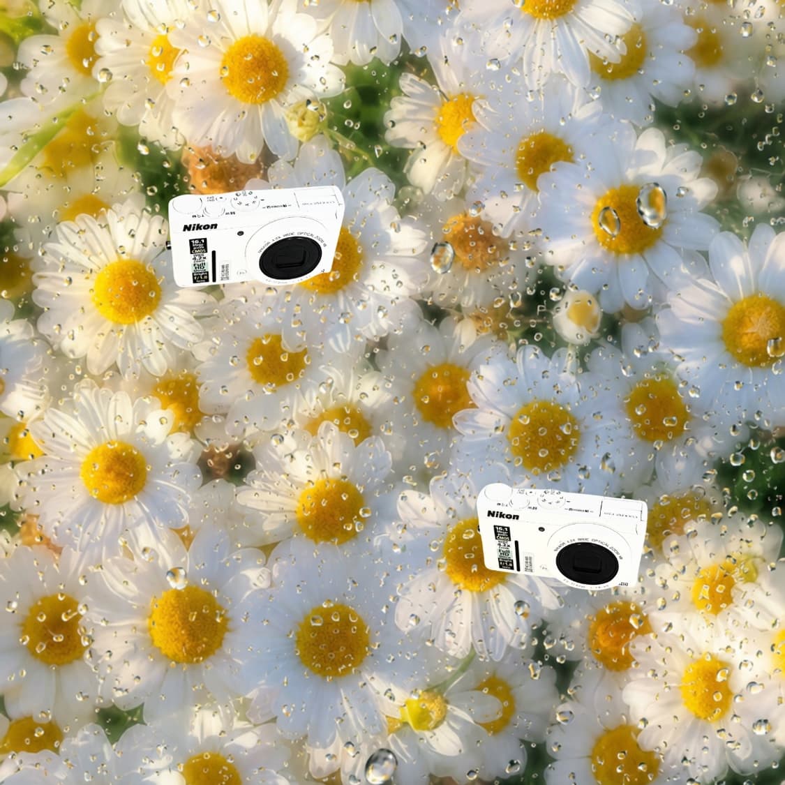 희귀!!) Nikon Coolpix P310 상품이미지1